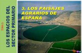 3. LOS PAISAJES AGRARIOS DE ESPAÑA 3. LOS PAISAJES ...