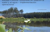 Manejo Forestal Sostenible en relación al suelo y al agua ...