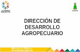 DIRECCIÓN DE DESARROLLO AGROPECUARIO