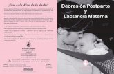 Depresión Postparto y Lactancia Materna - La Liga de La ...