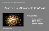 Bases de la Microscopía Confocal