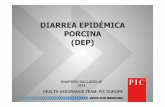 DIARREA EPIDÉMICA PORCINA (DEP)