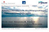 Arbeiten auf Offshore -Windenergieanlagen ...