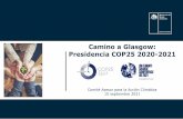 Camino a Glasgow: Presidencia COP25 2020-2021