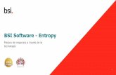 BSI Software - Entropy