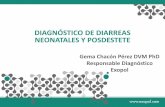DIAGNÓSTICO DE DIARREAS NEONATALES Y POSDESTETE