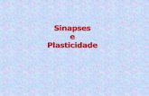 Sinapses e Plasticidade - University of São Paulo