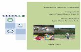 Estudio de Impacto Ambiental Categoría II Agro Playa ...