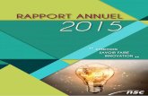 RAPPORT ANNUEL 2015 - NSC Groupe