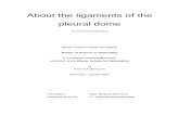About the ligaments of the pleural dome