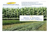 Maíz y Alfalfa - AGROPAL