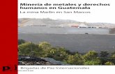 Minería de metales y derechos humanos en ... - PBI Honduras