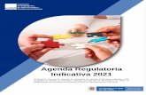 Agenda Regulatoria Indicativa 2021