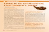 PRODUCCIÓN DE CARNE MANEJO DE BROILERS DE …