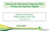 Sistema de Información Regional (SIR): Producción Agrícola ...