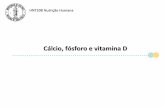 Cálcio, fósforo e vitamina D