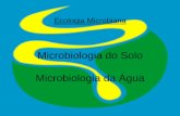 Microbiologia do Solo Microbiologia da Água