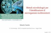 Metodi microbiologici per - Proeventi.it