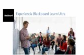 Experiencia Blackboard Learn Ultra - UPLA