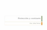 Protección y contraste - consejosiberoamericanos.com