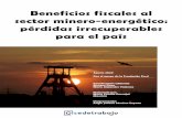 Beneficios fiscales al sector minero-energético: pérdidas ...