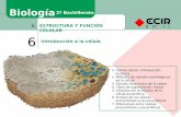 Biología 2º Bachillerato ESTRUCTURA Y FUNCIÓN CELULAR 6 ...