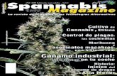 maqueta revista N39 - Cannabis Magazine