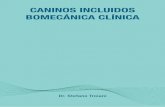 CANINOS INCLUIDOS BOMECÁNICA CLÍNICA