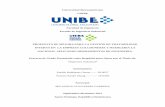 Universidad Iberoamericana UNIBE Facultad de Ingeniería ...