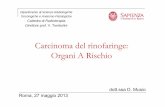 Carcinoma del rinofaringe: Organi A Rischio