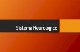 Sistema Neurológico - Início
