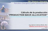 “PRODUCTION BACK ALLOCATION