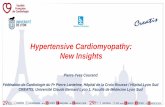 Hypertensive Cardiomyopathy: New Insights