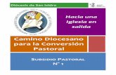 Camino Diocesano para la Conversión Pastoral