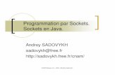 Programmation par Sockets. Sockets en Java.