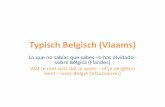 Typisch Belgisch (Vlaams) - Neerlandes para todos