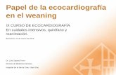 Papel de la ecocardiografía en weaning
