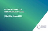 CURSO DE EXPERTO EN RESPONSABILIDAD SOCIAL XI Edición ...