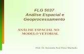 FLG 5037 Análise Espacial e Geoprocessamento