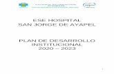 ESE HOSPITAL SAN JORGE DE AYAPEL PLAN DE DESARROLLO ...