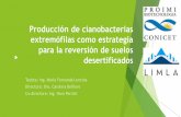 Producción de cianobacterias extremófilas como estrategia ...