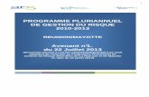 PROGRAMME PLURIANNUEL DE GESTION DU RISQUE 2010-2013