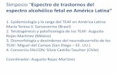 Simposio espectro alcohólico fetal en América Latina“