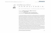 infección e la pArAsitAriA D - Elementos