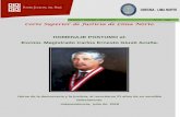 REVISTA 1 ODECMA LIMA NORTE N° 01 Julio Corte Superior de ...