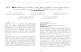 PDF24 PDF Printer - Tise