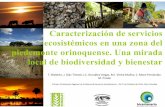 Caracterización de servicios ecosistémicos en una zona del ...