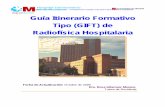 Guía Itinerario Formativo Tipo Radiofisica Hospitalaria