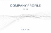 COMPANY PROFILE - Sts group
