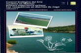 Control biológico del lirio acuático en México